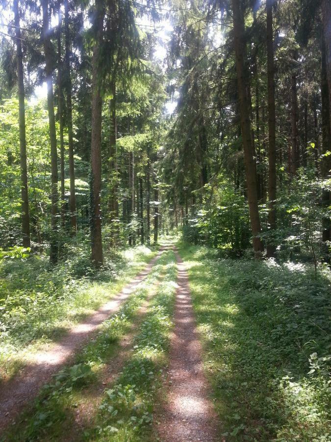Herberge Markdorf Esterno foto